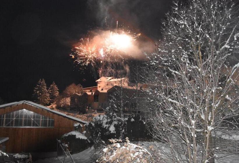 Шале 1 Спальня, Chalet & Appartement Zingerlehof Trens