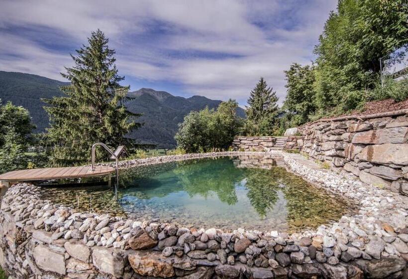 Шале 1 Спальня, Chalet & Appartement Zingerlehof Trens