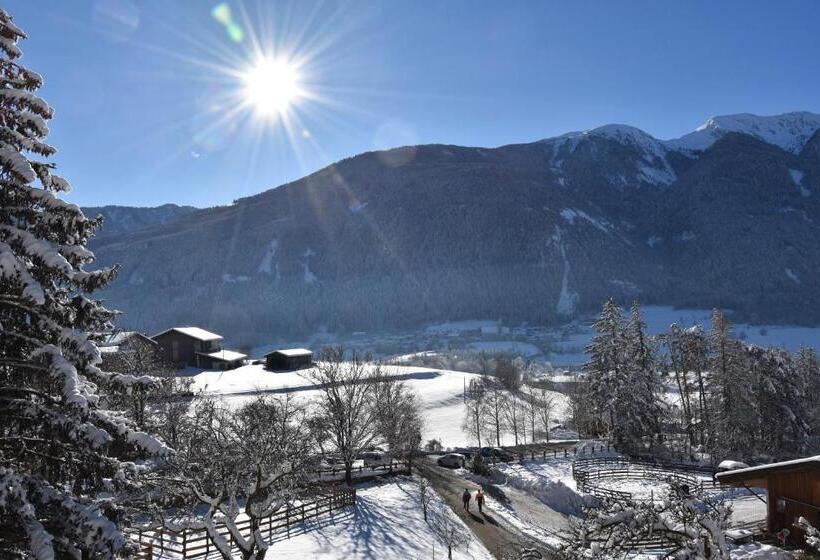 Шале 1 Спальня, Chalet & Appartement Zingerlehof Trens