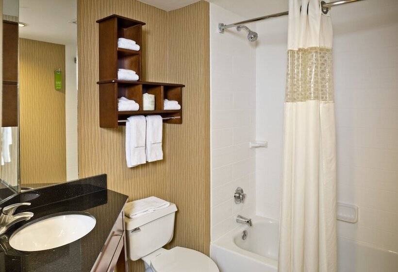スイート, Hampton Inn Baltimore/white Marsh