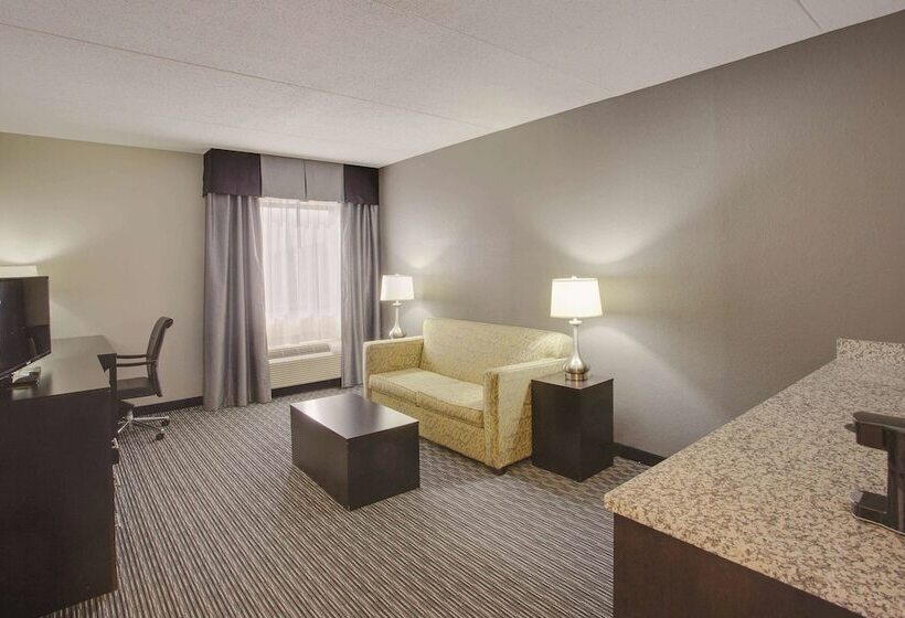 스위트, La Quinta Inn & Suites By Wyndham Detroit Metro Airport