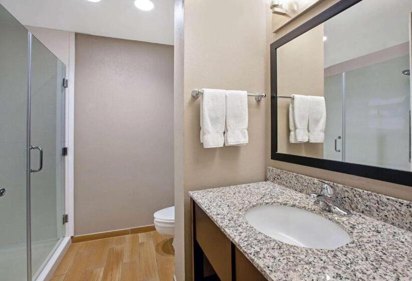 장애인을 위한 킹사이즈 침대 스탠다드 룸, La Quinta Inn & Suites By Wyndham Detroit Metro Airport