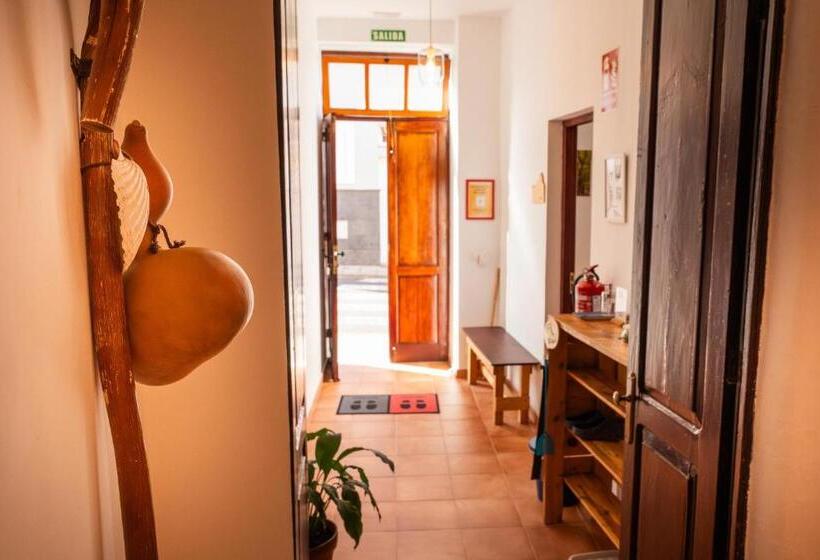 Номер Стандарт, Tabaiba Guesthouse