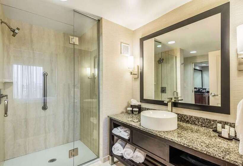 Люкс, Embassy Suites By Hilton Lexington Green