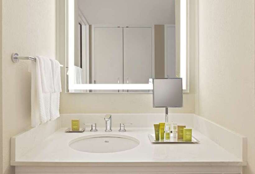 스탠다드 룸 킹사이즈 침대, Hilton Newark Airport
