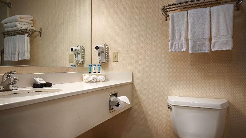 스탠다드 룸 킹사이즈 침대, Best Western Plus Twin View Inn & Suites