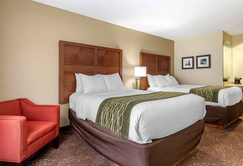Номер Стандарт 2 Двуспальные Кровати, Comfort Inn Okemos  East Lansing