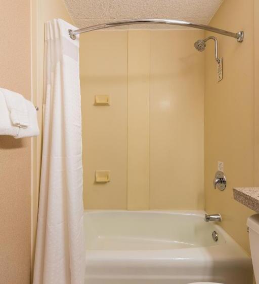 Стандартный Номер Кровать Кинг, Holiday Inn South Plainfield Piscataway, An Ihg