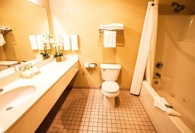 Люкс Deluxe Вид на Море, Bayvue Hotel, Resort & Suites
