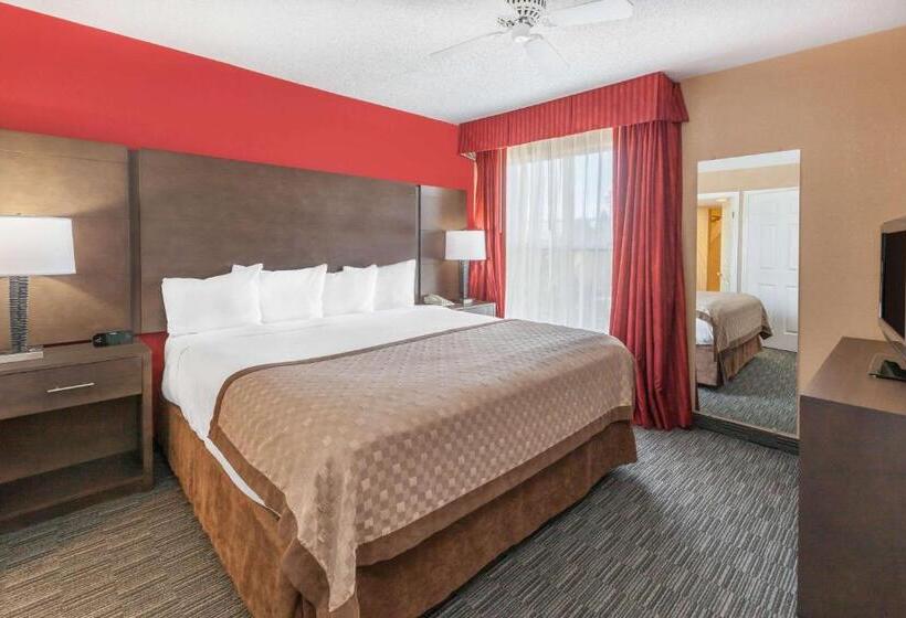 سوئیت با تخت بزرگ, Affordable Suites Of America Detroitwarren
