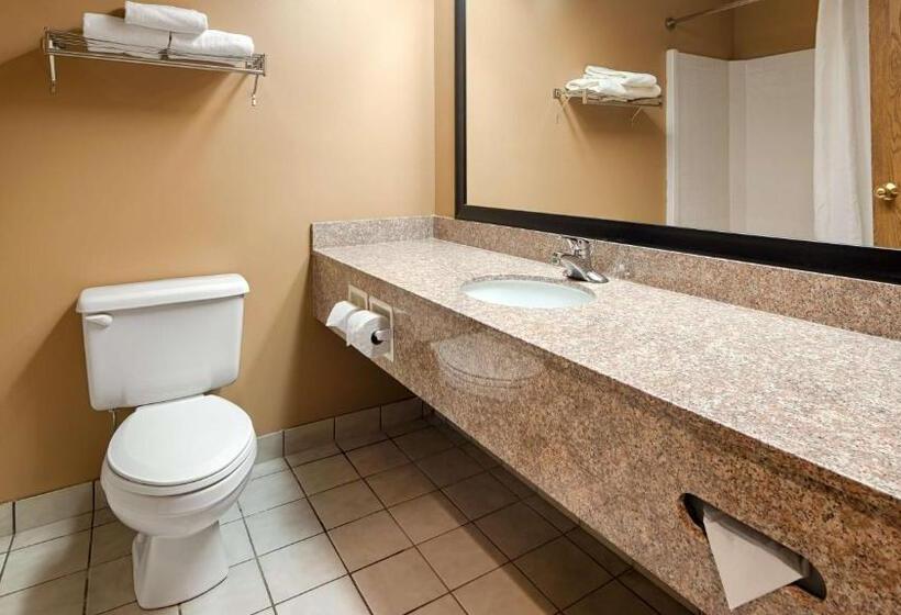 Номер Стандарт, Best Western Plaza Hotel Saugatuck