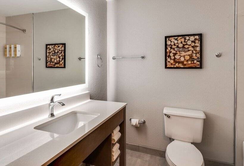 Standard-huone 2 Parivuodetta, Best Western Plus Bourbonnais Hotel & Suites