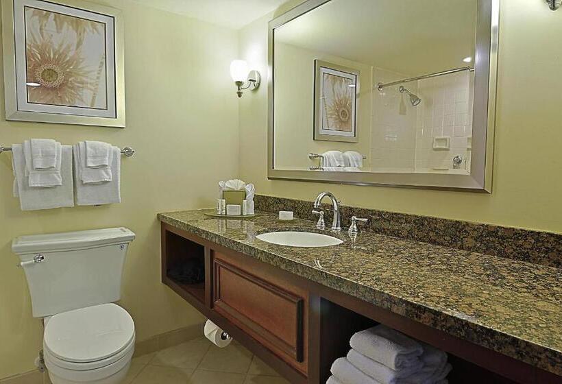 חדר סטנדרט עם מיטת קינג, Courtyard By Marriott Bradenton Sarasota/riverfront