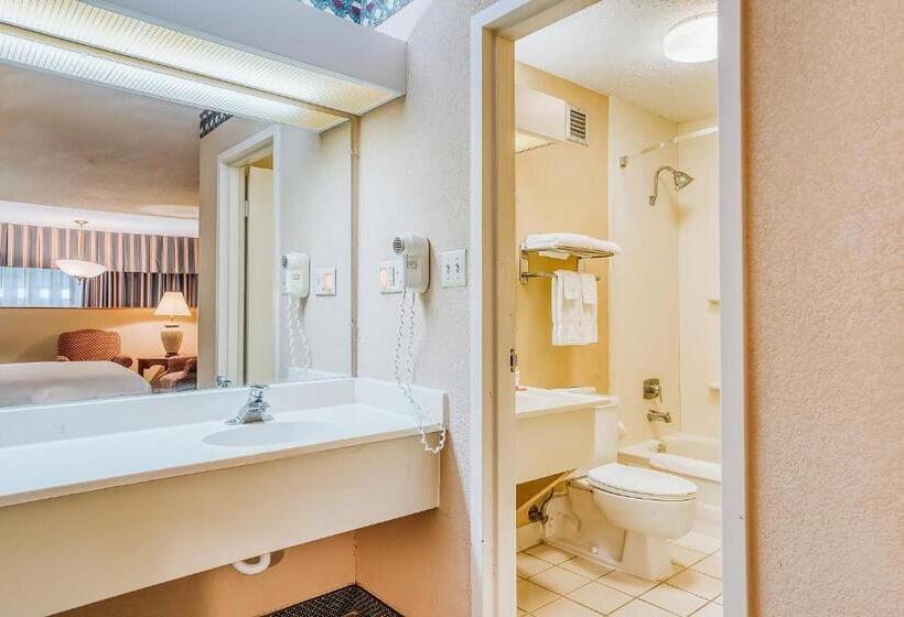 اتاق استاندارد با تخت دو نفره بزرگ برای معلولان, Oyo Hotel Monroe La I 20