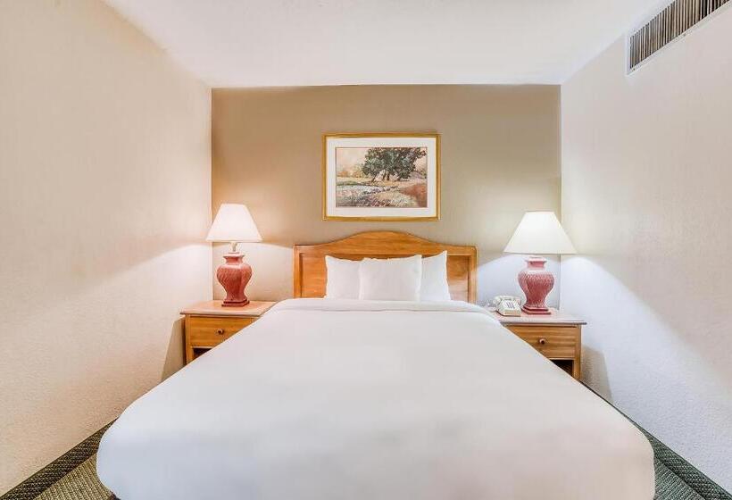 سوییت جونیور, Oyo Hotel Monroe La I 20