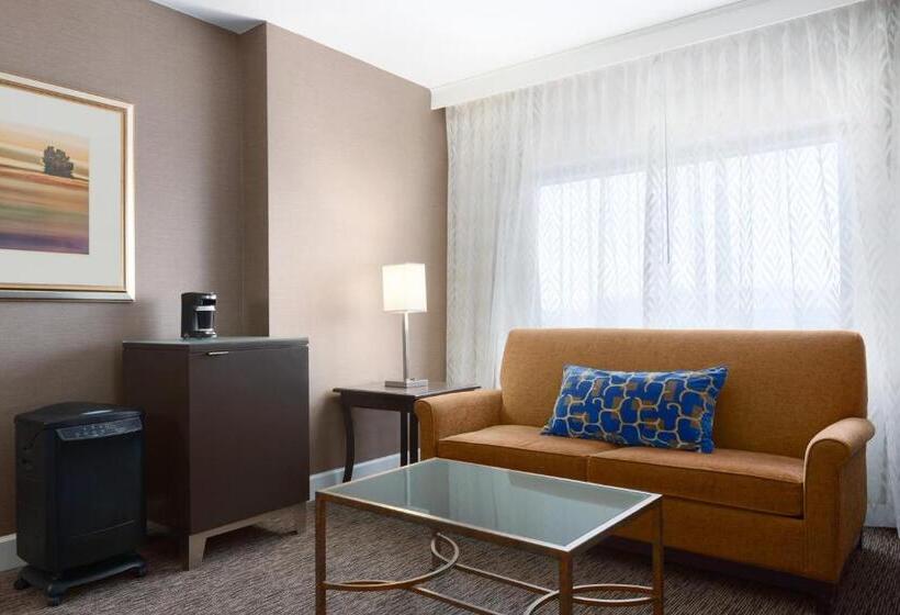 스탠다드 룸 킹사이즈 침대, Hyatt Regency Dulles