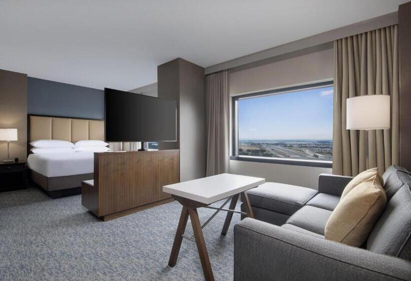 스탠다드 룸 킹사이즈 침대, Hyatt Regency Dulles