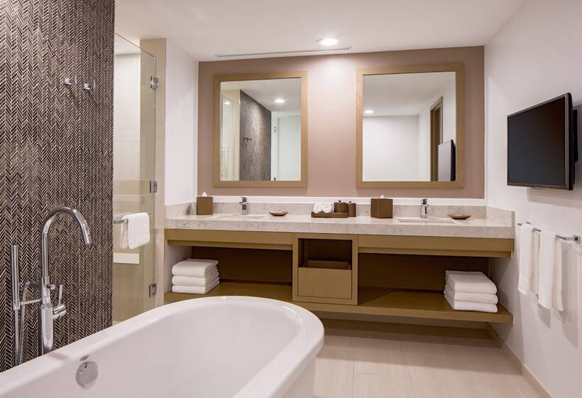 Люкс, Hyatt Regency Houston Downtown