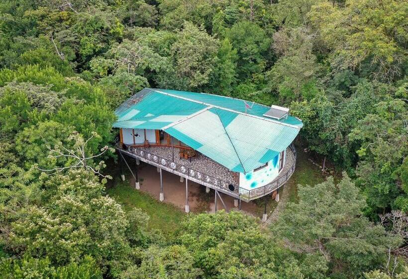Дом 3 Спальни, Moon Wonders Vacation House
