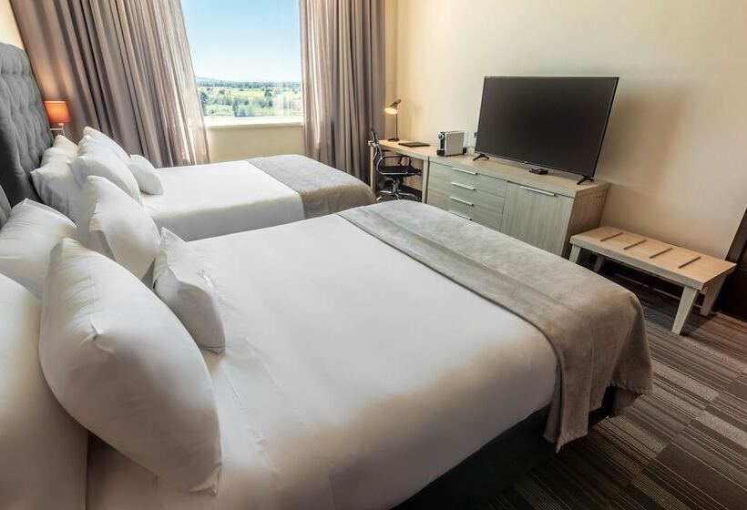 اتاق استاندارد, Mds Hotel Chillan
