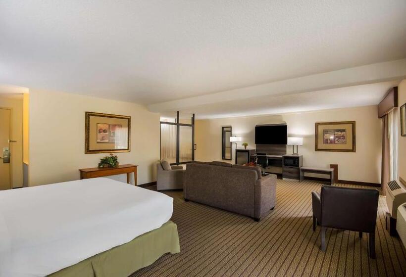 Люкс Кровать Кинг, Best Western Prairie Inn & Conference Center