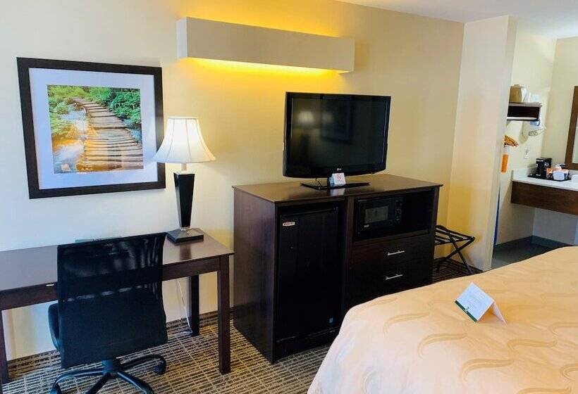 스탠다드 룸 킹사이즈 침대, Quality Inn Seneca Us123