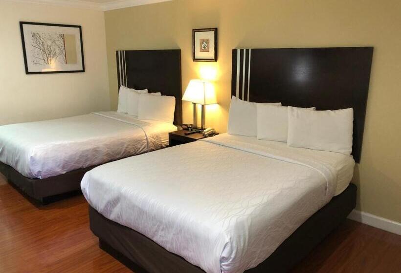 Chambre Standard, Lombard Plaza Motel