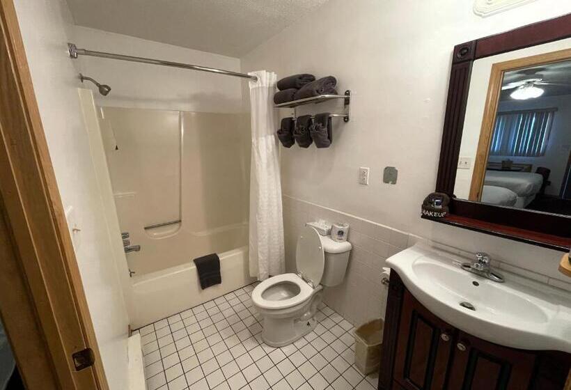Номер Стандарт 2 Двуспальные Кровати, Lake Bluff Inn And Suites