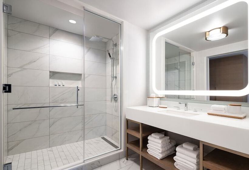 Chambre Standard Lit Double Vue Parc, The Westin Anaheim Resort
