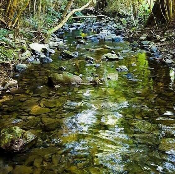 标准三人间, Le Moulin De Gauty