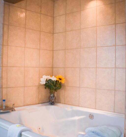 Люкс Кровать Кинг, Victorian Inn & Suites York