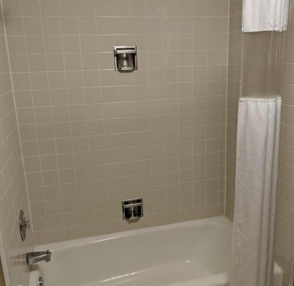 스위트 킹사이즈 침대, Ramada By Wyndham Raleigh