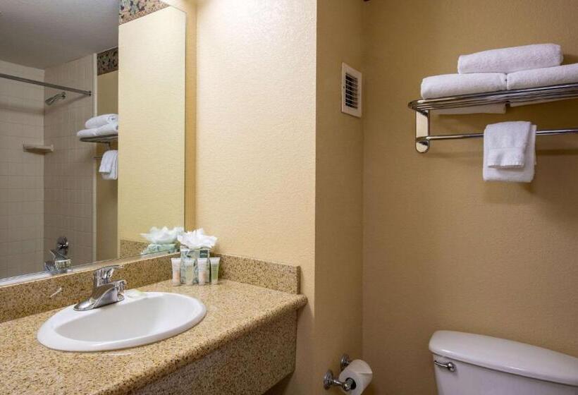스위트 킹사이즈 침대, Winter Park Mountain Lodge