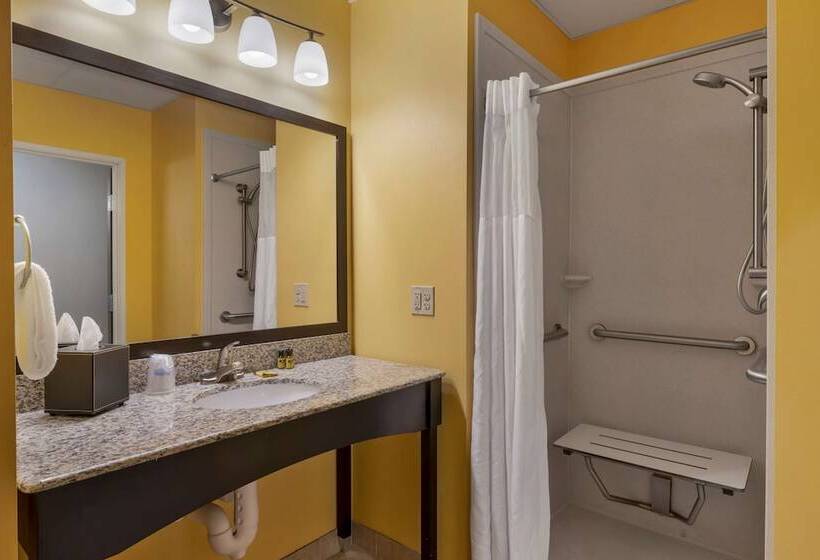 Люкс Адаптированный для Инвалидов, Best Western Plus North Platte Inn & Suites