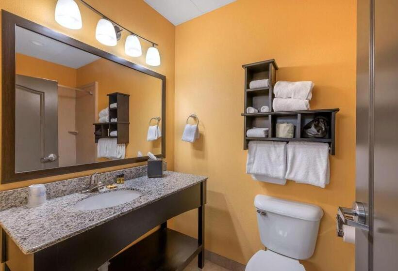 Люкс Кровать Кинг, Best Western Plus North Platte Inn & Suites