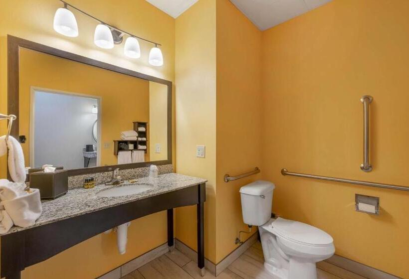 Номер Стандарт Адаптированный для Инвалидов, Best Western Plus North Platte Inn & Suites