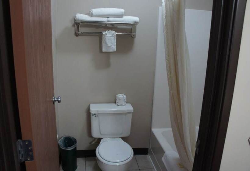 Номер Стандарт 2 Двуспальные Кровати, Coratel Inn And Suites Maple Grove