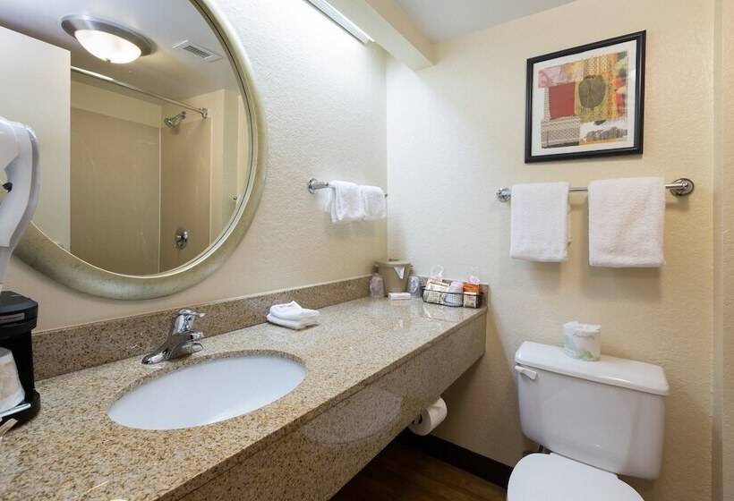 Superior Szoba, Red Roof Inn Houston  Westchase