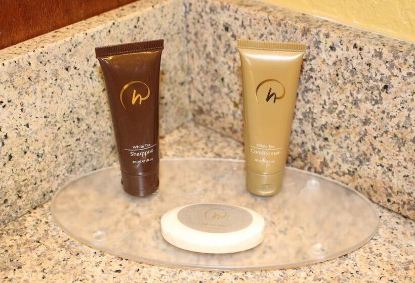 חדר דלוקס, Rosen Inn Closest to Universal
