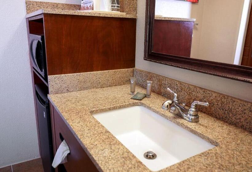 חדר דחוקס עם מיטת קינג, Rosen Inn Closest to Universal