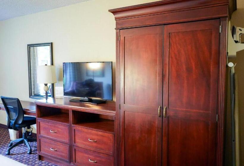 חדר דלוקס, Rosen Inn Closest to Universal
