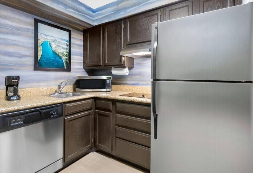 Suite Aangepast voor Gehandicapten, Residence Inn Indianapolis Downtown On The Canal
