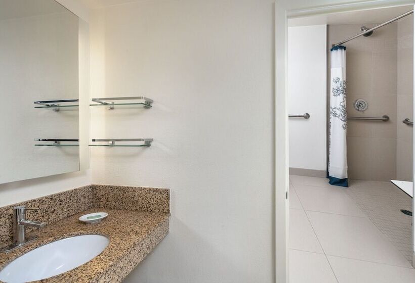 Люкс 2 Спальни, Residence Inn By Marriott New Orleans Metairie