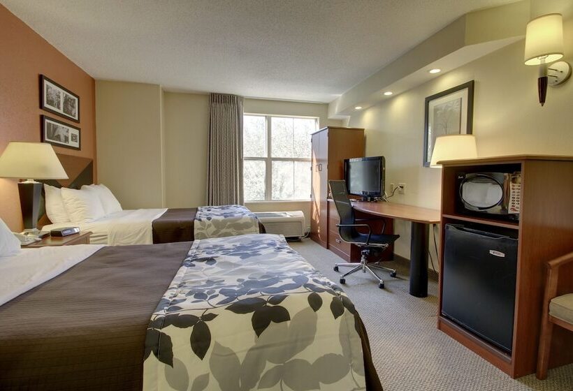 ２ダブルベッドのスタンダードルーム, Sleep Inn Mt. Pleasant  Charleston