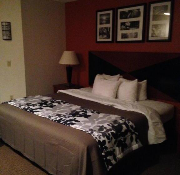 Стандартный Номер Кровать Кинг, Sleep Inn Pelham Oak Mountain