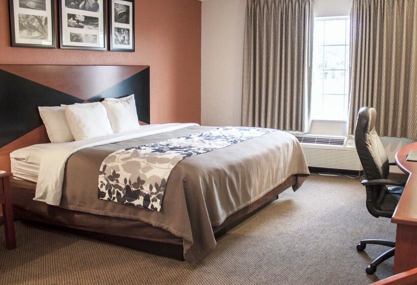 Номер Стандарт 2 Двуспальные Кровати, Sleep Inn Pelham Oak Mountain