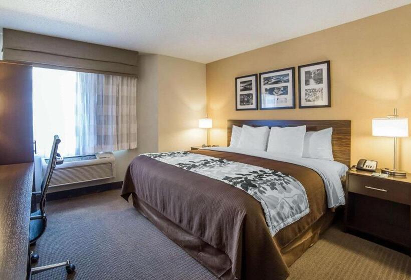 Стандартный Номер Кровать Кинг, Sleep Inn Provo Near University