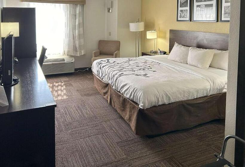 스탠다드 룸 킹사이즈 침대, Sleep Inn Wilson Near I 95
