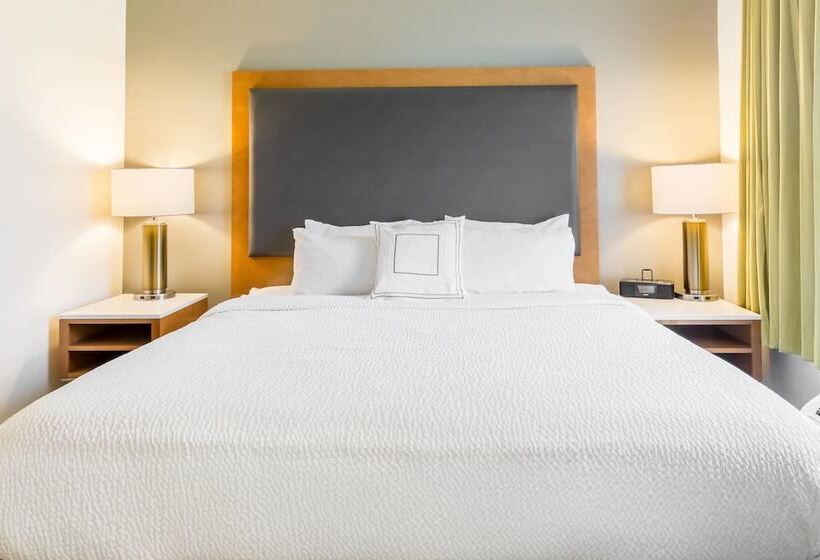 Люкс, Springhill Suites By Marriott Houston Brookhollow