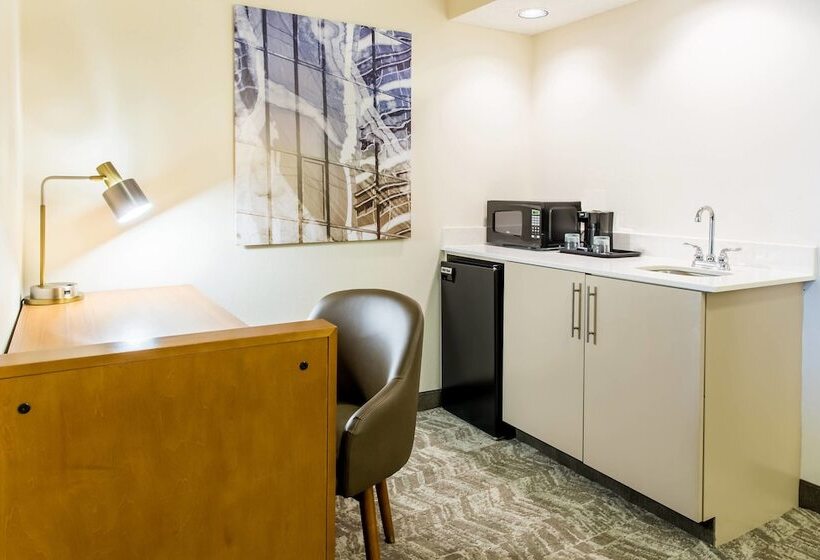 Люкс Адаптированный для Инвалидов, Springhill Suites By Marriott Houston Brookhollow